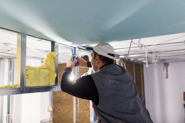 Best Cellulose Insulation in Otsego, MN