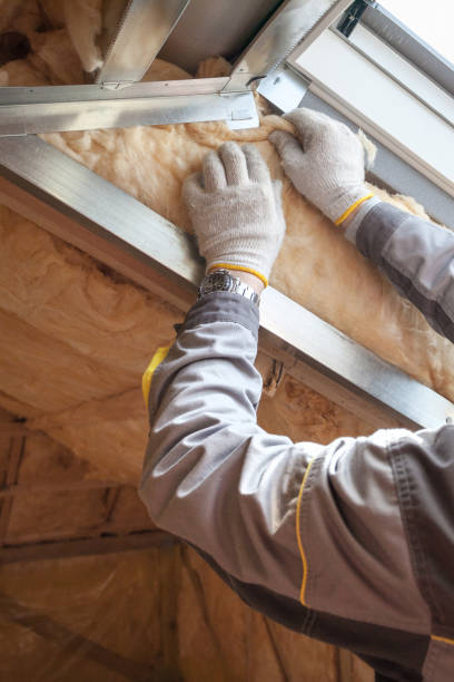 Best Blown-in Insulation in Otsego, MN